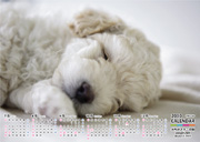 横型 下半期6ヶ月カレンダー・下に印刷