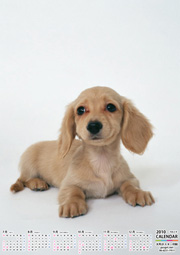 縦型 下半期6ヶ月カレンダー・下に印刷