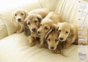 横型 上半期6ヶ月カレンダー・右に印刷